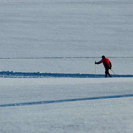 Casa rural Luenerhof *