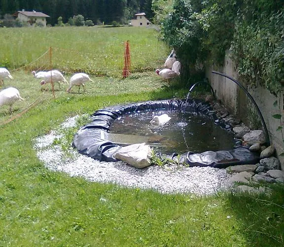 Luenerhof Landhuis Neustift im Stubaital